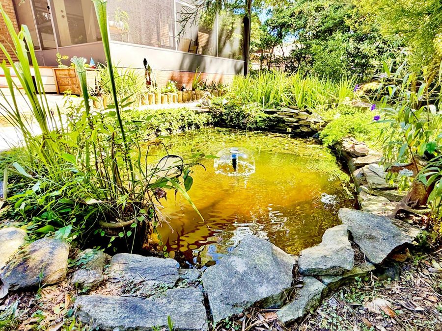 Property Image 46