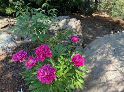 12940 Thomas Creek Road, Reno, NV 89511 Photo