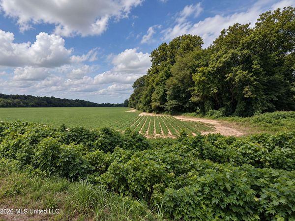 50 Ac Old Panola Road, Sardis, MS 38666