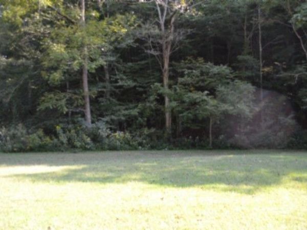 0 Cherry Farm Ln , Celina, TN 38551