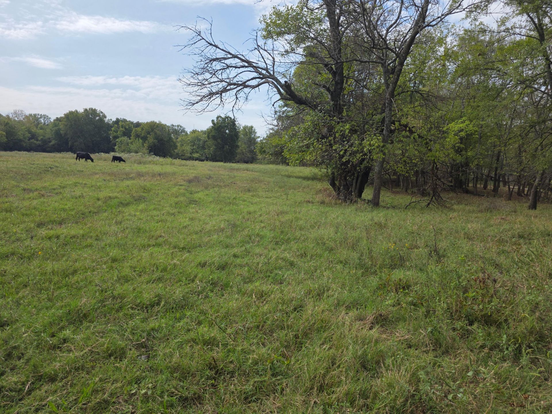 Tbd 85 Highway, Cleora, OK 74331 Main Photo