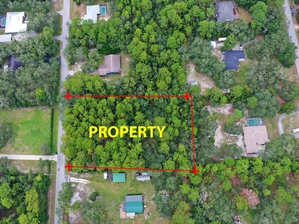 2659 S BOLTON AVENUE , HOMOSASSA, FL 34448