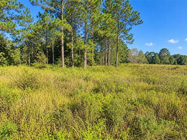 SW 26TH LANE , OCALA, FL 34481