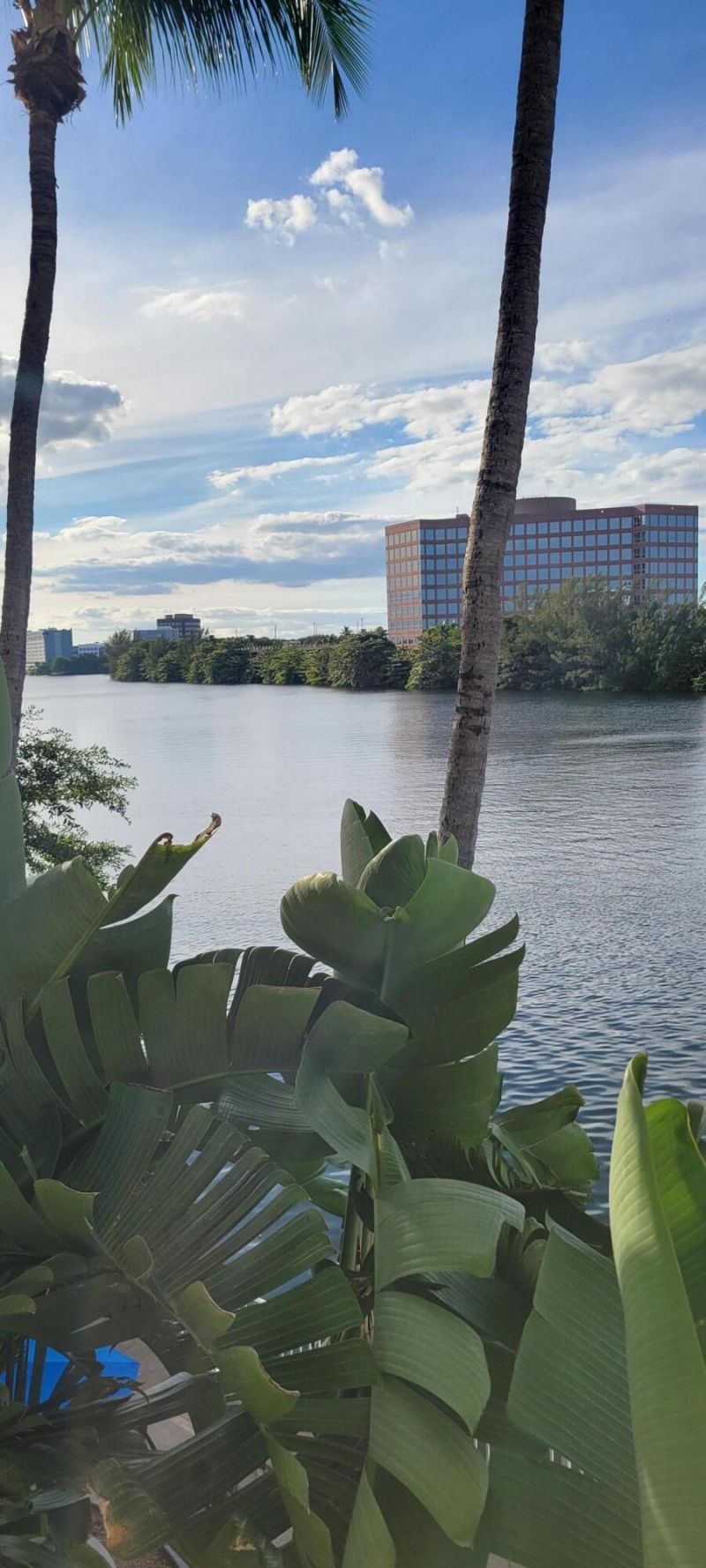 5099 NW 7th Street, Unit 902, Miami, FL 33126 Photo
