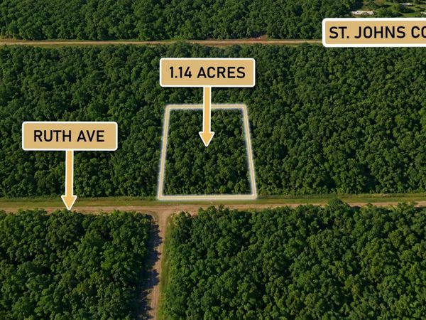 10925 Ruth Avenue, Hastings, FL 32145