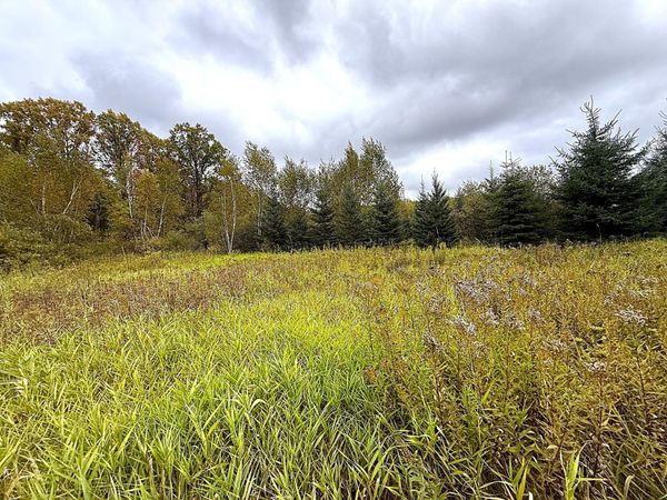 TBD 360th Street, Onamia, MN 56359
