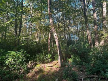 Lot 172 & 173 Dogwood Drive, Terra Alta, WV 26764