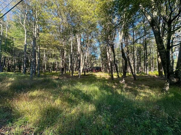 Lot 21 Alpine Drive, Terra Alta, WV 26764