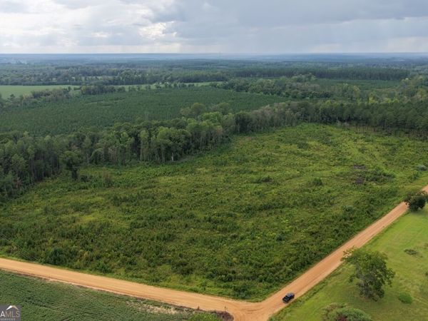 0 Watson & Hendricks Roads, Unit TRACT 2, Metter, GA 30439
