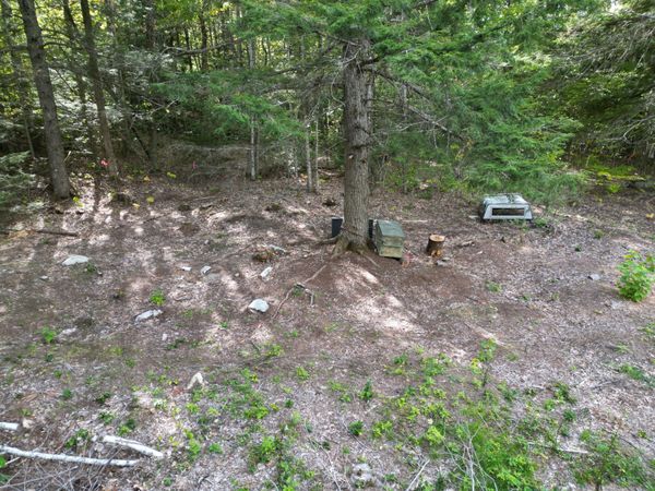Off Skunk Hill Road, Lee, ME 04455