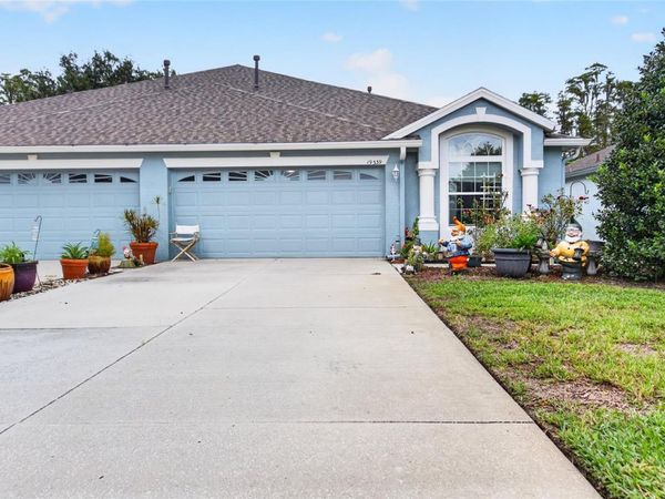 19339 EVERTON PLACE , LAND O LAKES, FL 34638