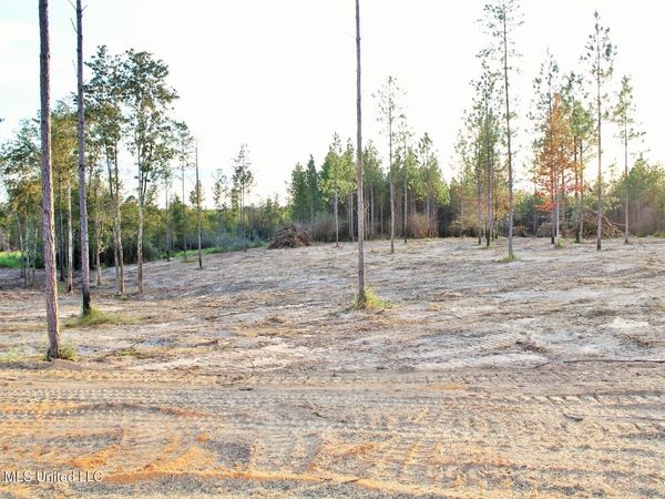Lot 18 Little Cedar Road, Lucedale, MS 39452
