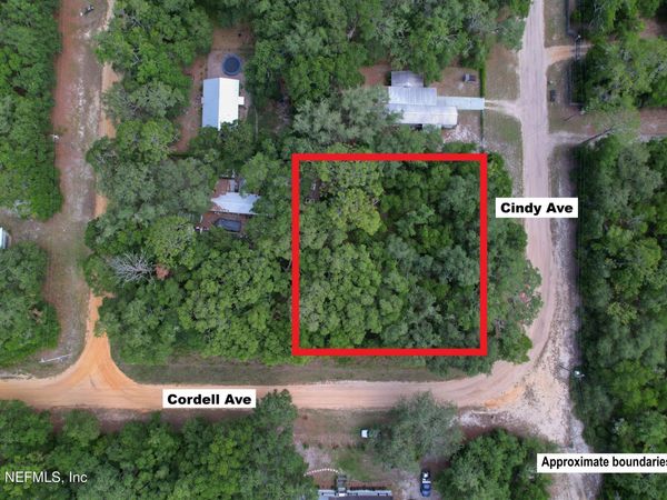 000 CORDELL Avenue, Interlachen, FL 32148