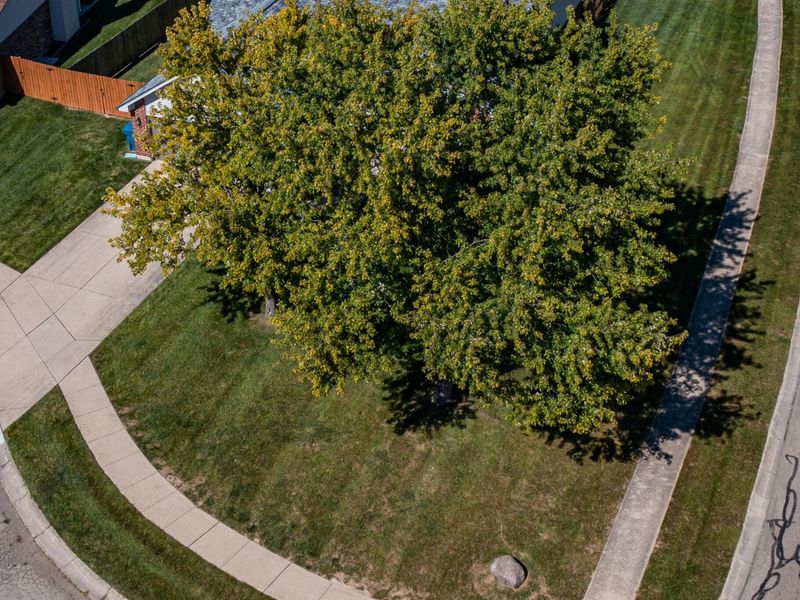 8030 Chipgate Court, Huber Heights, OH 45424 Photo 46