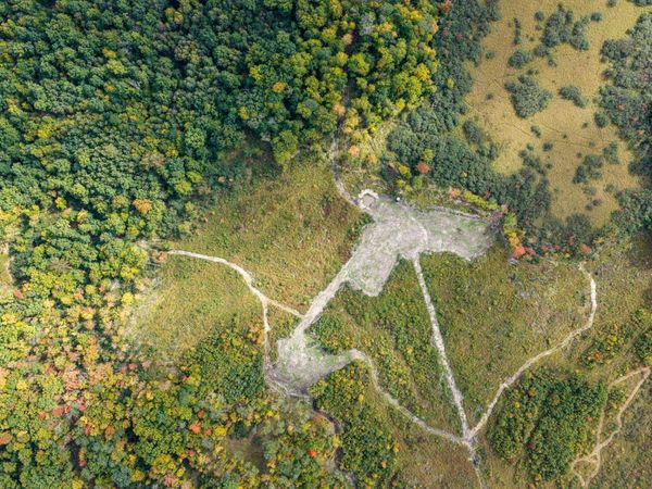 68+/- Acres Badger Avenue, Granton, WI 54436