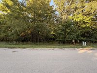 Lot 55 Eagle Chase Drive , Seneca, IL 61360 primary photo