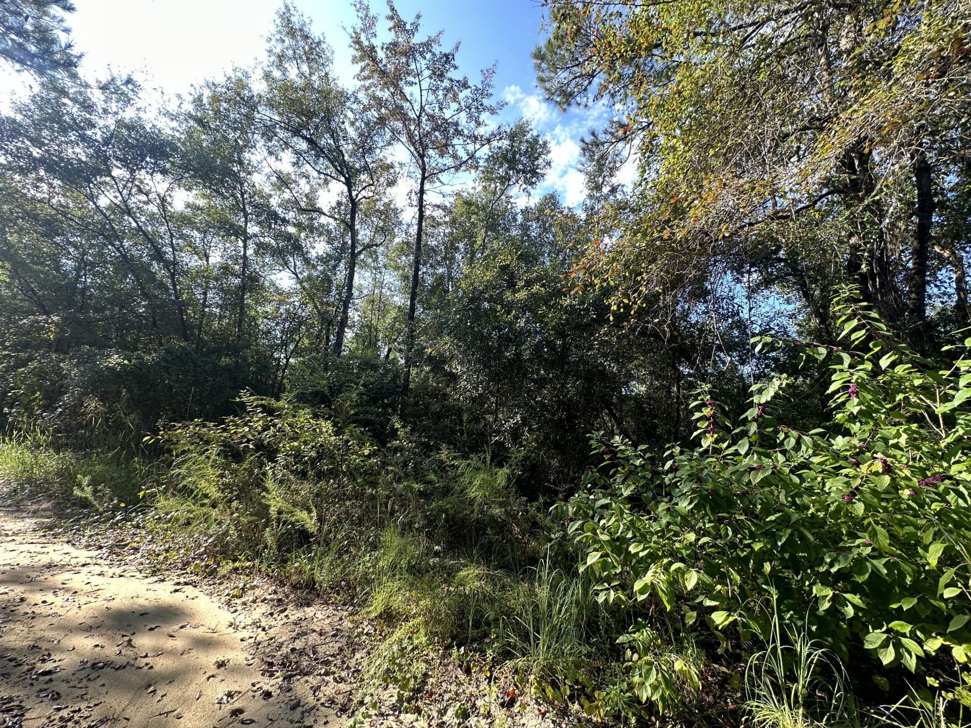 Tbd S Carroll Drive, Baker, FL 32531 Main Photo