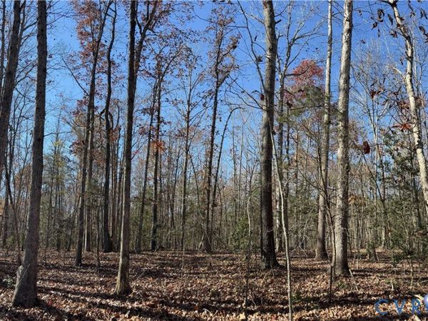Lot 4 Diggstown Rd , Bumpass, VA 23024