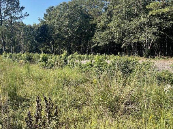 8 ac +- Lincoln Road Ext., Hattiesburg, MS 39402