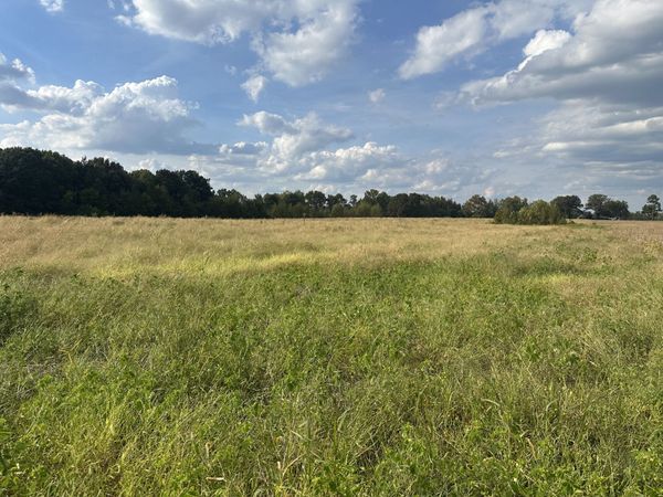0 Pendergrass Rd , Flintville, TN 37335