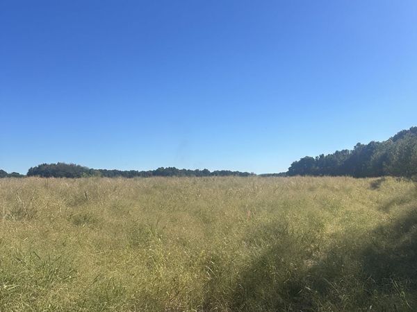 0 Pendergrass Rd , Flintville, TN 37335