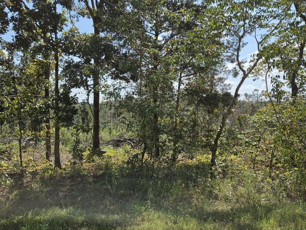 0 Woodland Rd , Hohenwald, TN 38462