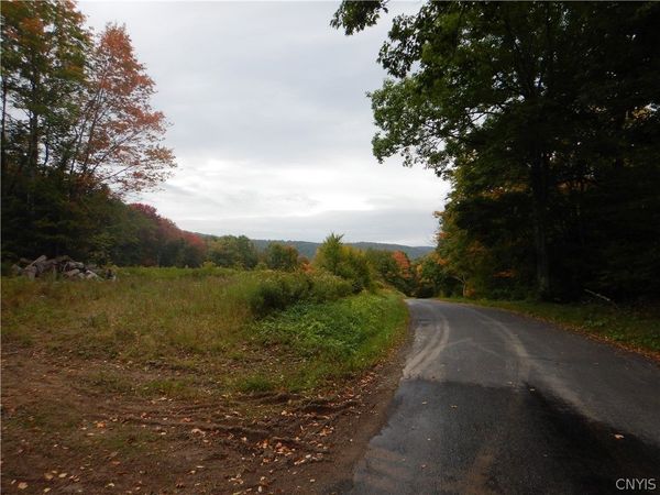 Houck Mountain, Walton, NY 13856