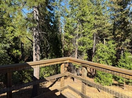 17890 Mira Vista Ct, Pioneer, CA 95666 Photo