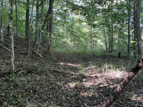 Paint Rock Buffalo Creek Rd, Oneida, TN 37841