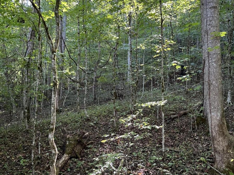 Property Image 18