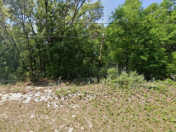 GUAVA PASS LANE , OCKLAWAHA, FL 32179