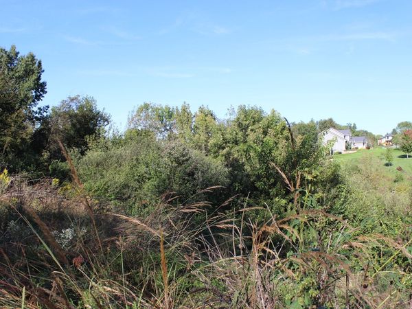 5691 SW Maffit Lake Drive, West Des Moines, IA 50061
