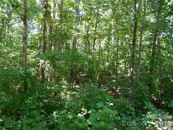 113 Chippewa Trail , China Grove, NC 28023