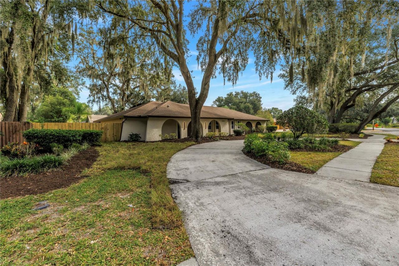 1116 N Riverhills Drive, Temple Terrace, FL 33617 Photo