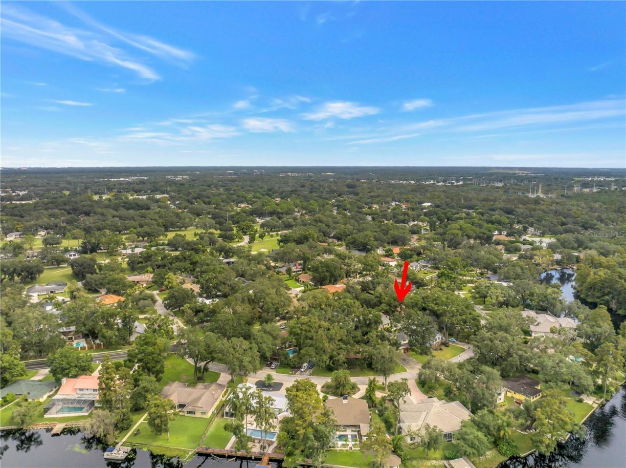 1116 N Riverhills Drive, Temple Terrace, FL 33617 Photo