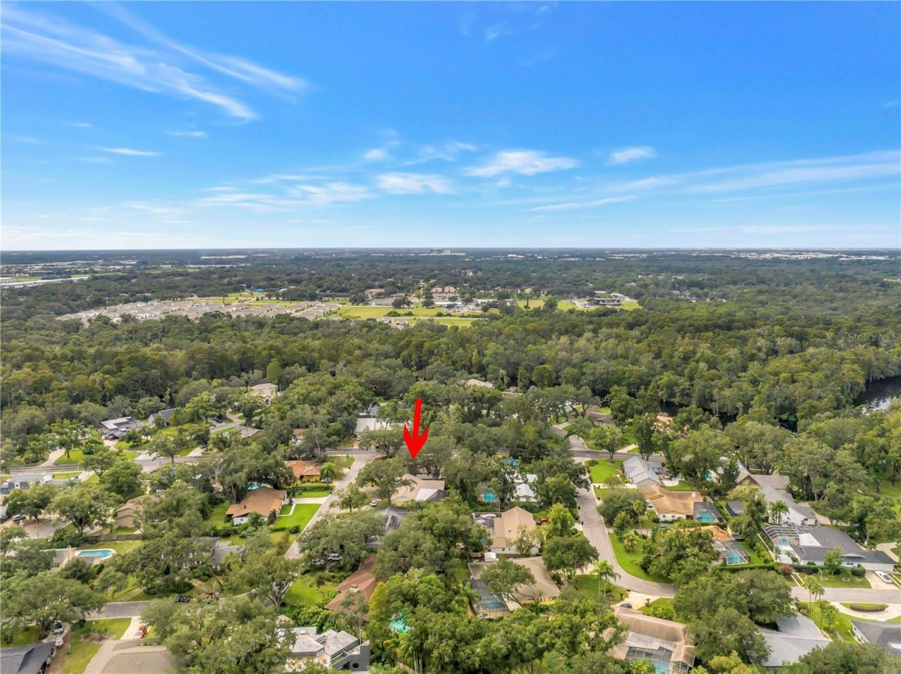 1116 N Riverhills Drive, Temple Terrace, FL 33617 Photo