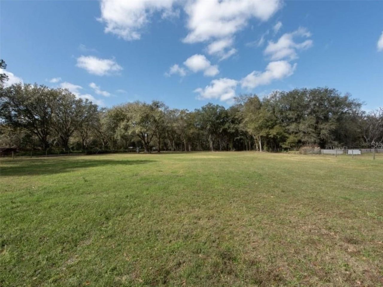6513 S County Line Road, Plant City, FL 33567 Photo