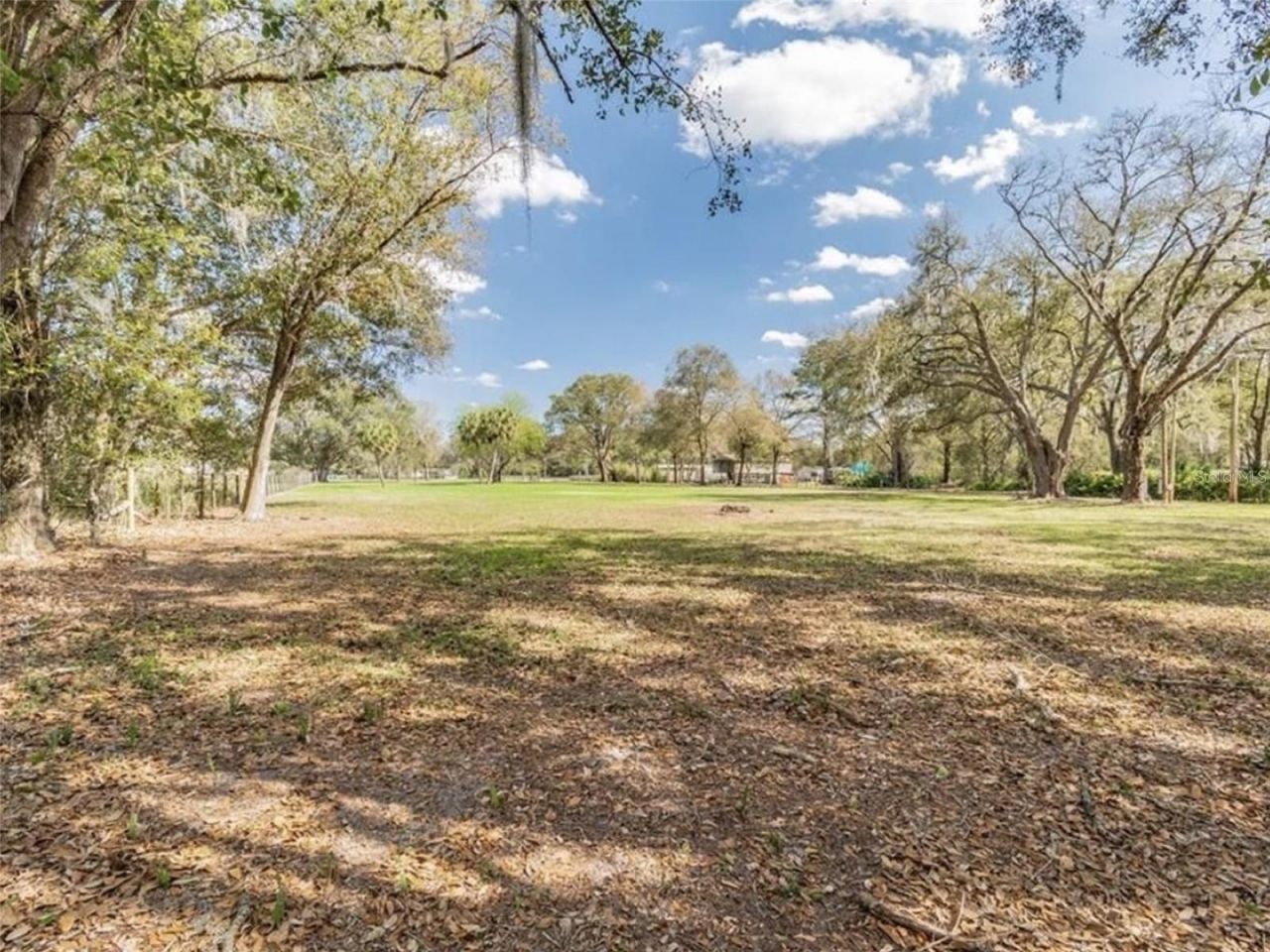 6513 S County Line Road, Plant City, FL 33567 Photo