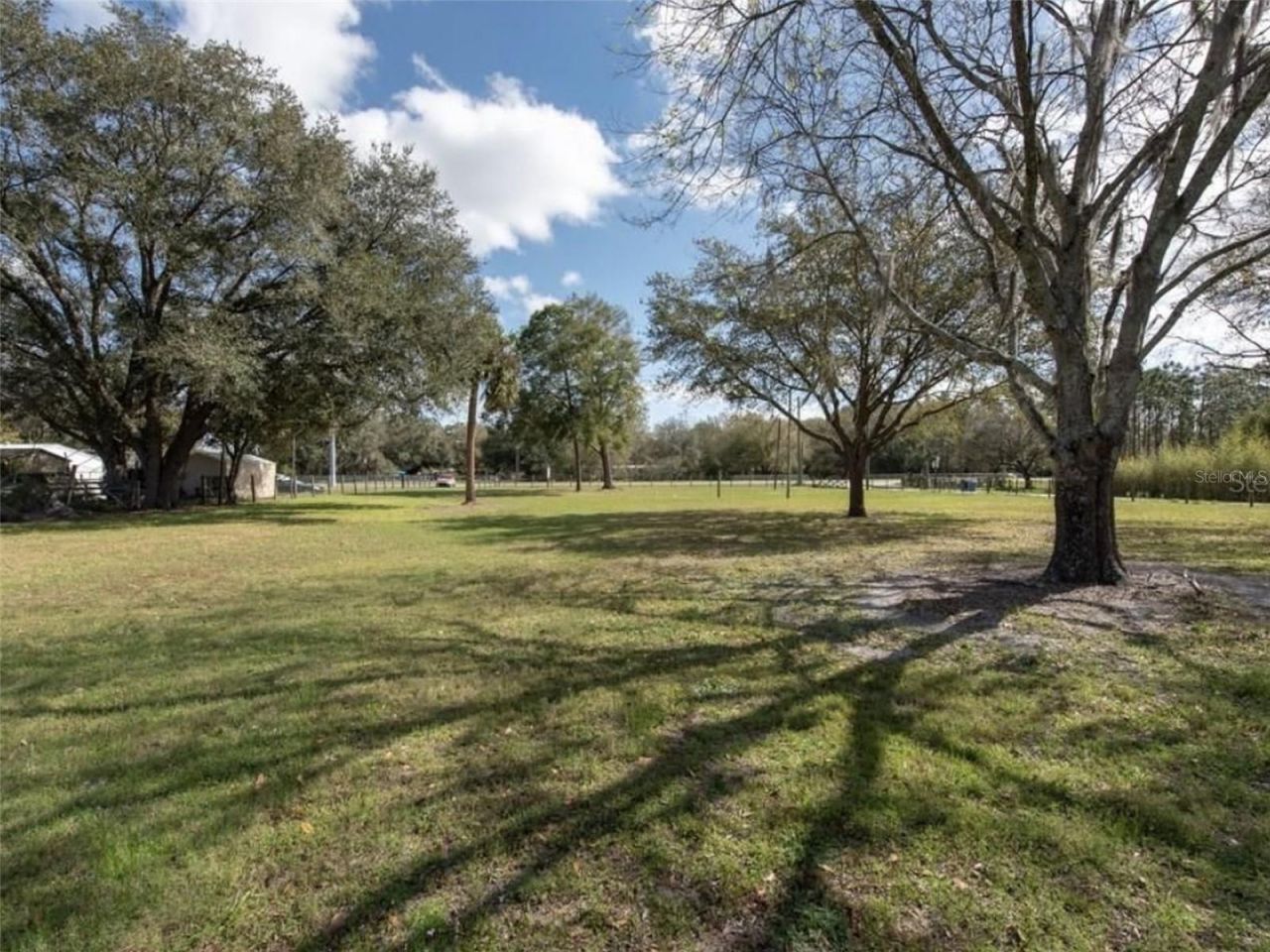 6513 S County Line Road, Plant City, FL 33567 Photo