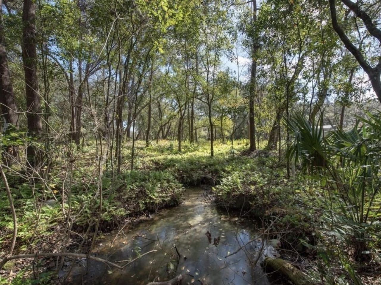 6513 S County Line Road, Plant City, FL 33567 Photo