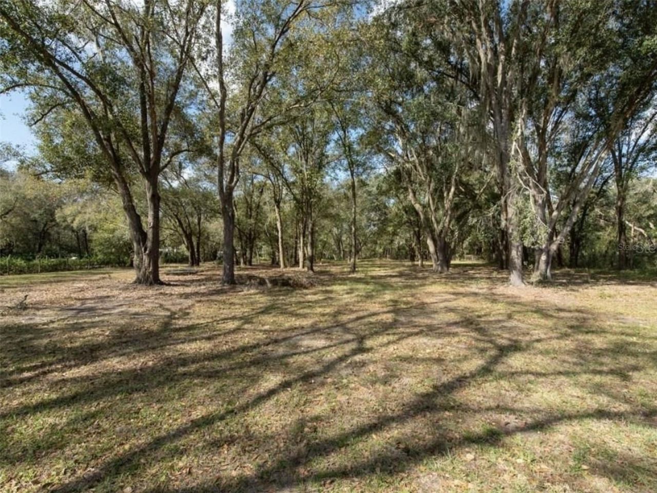 6513 S County Line Road, Plant City, FL 33567 Photo