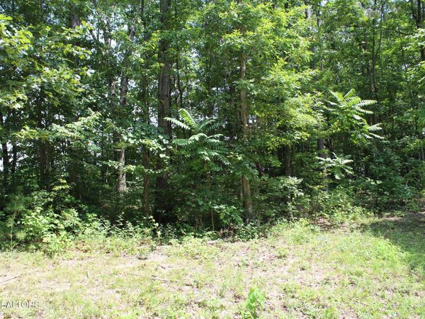 Tennessee 154 , Jamestown, TN 38556