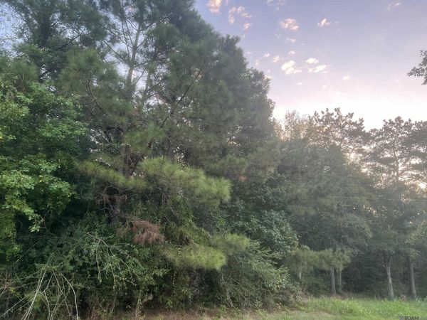 LOT 6-A-3 Hwy 10, Clinton, LA 70722