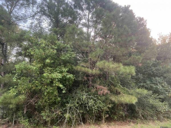 LOT 6-A-5 Hwy 10, Clinton, LA 70722