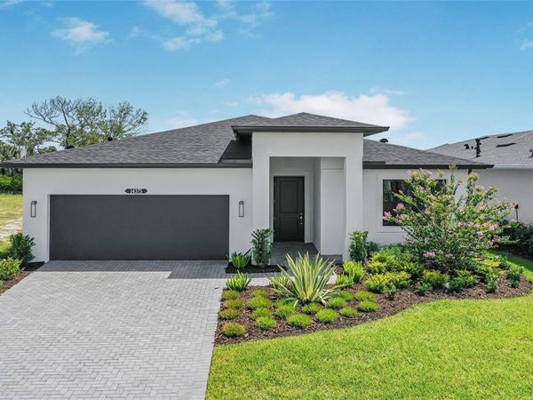 14375 HAMMOCK OAK STREET , PARRISH, FL 34219