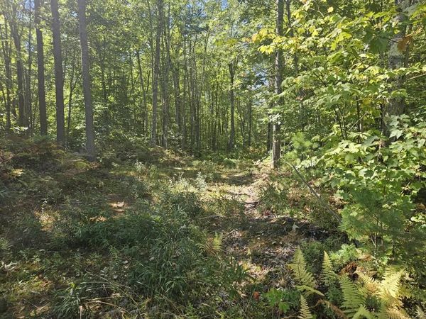 Lot 9F Pequawket Trail, Standish, ME 04084