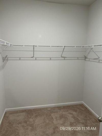 101 Akeley Lane Photo 17