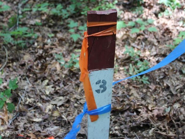 Pickett Park Hwy, Jamestown, TN 38556
