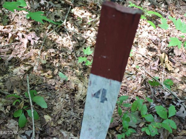 Pickett Park Hwy, Jamestown, TN 38556