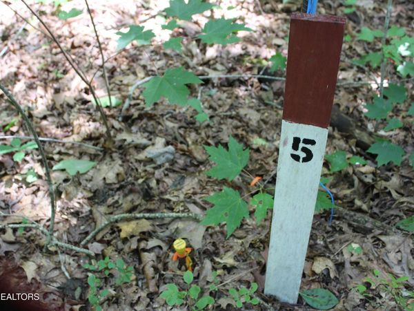 Pickett Park Hwy, Jamestown, TN 38556